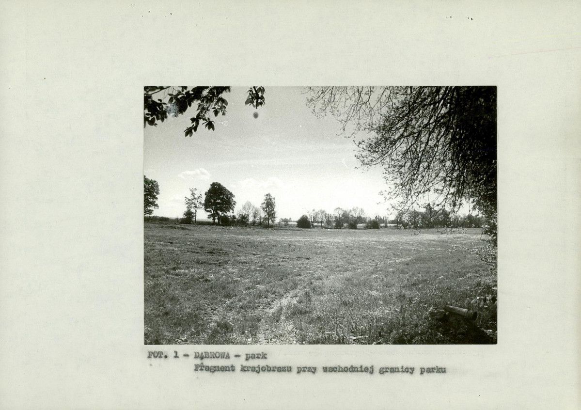EP - Ewidencja parkowa, skan nr 12