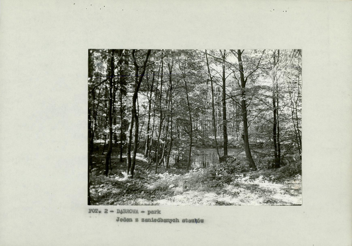 EP - Ewidencja parkowa, skan nr 13
