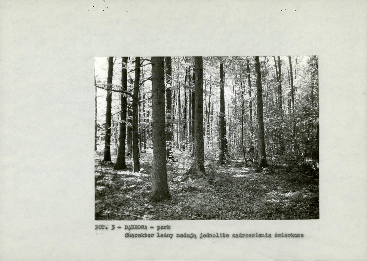 EP - Ewidencja parkowa, skan nr 14