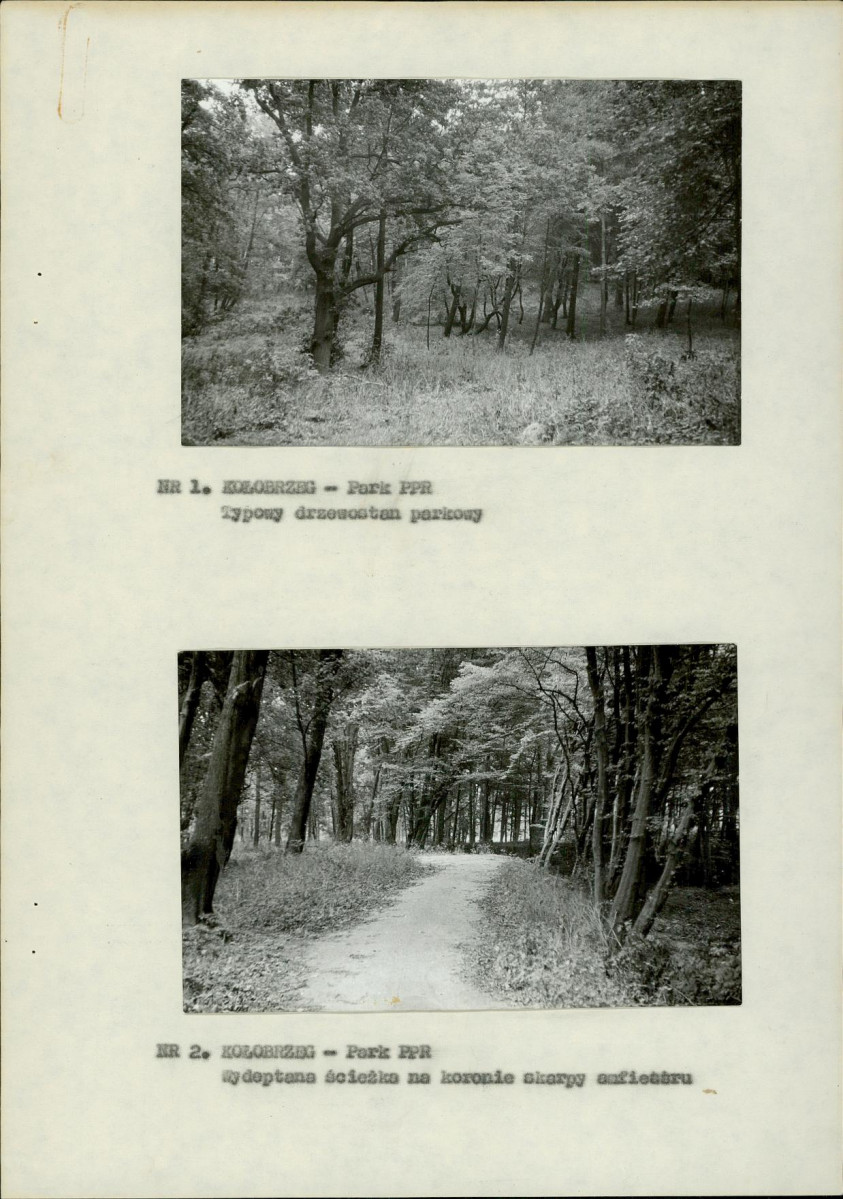 Ewidencja parkowa, skan nr 11