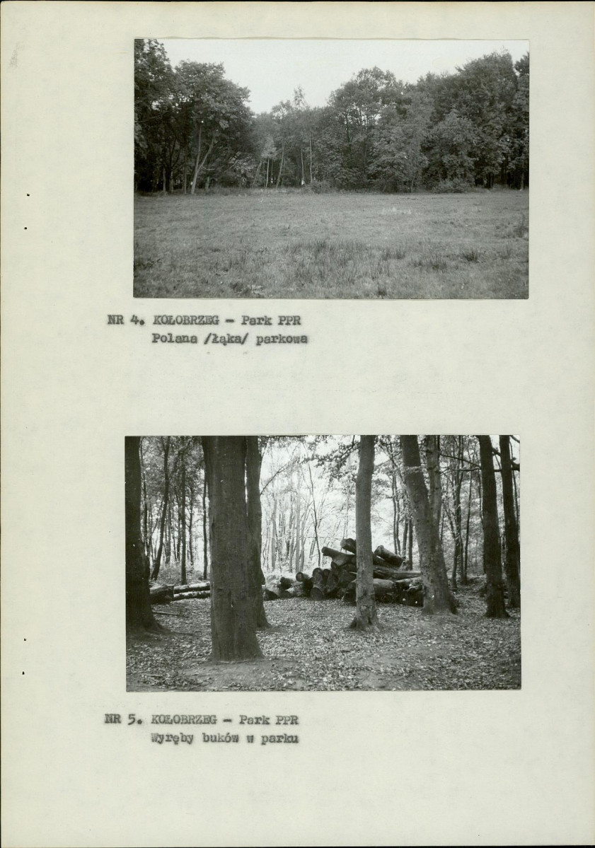 Ewidencja parkowa, skan nr 13