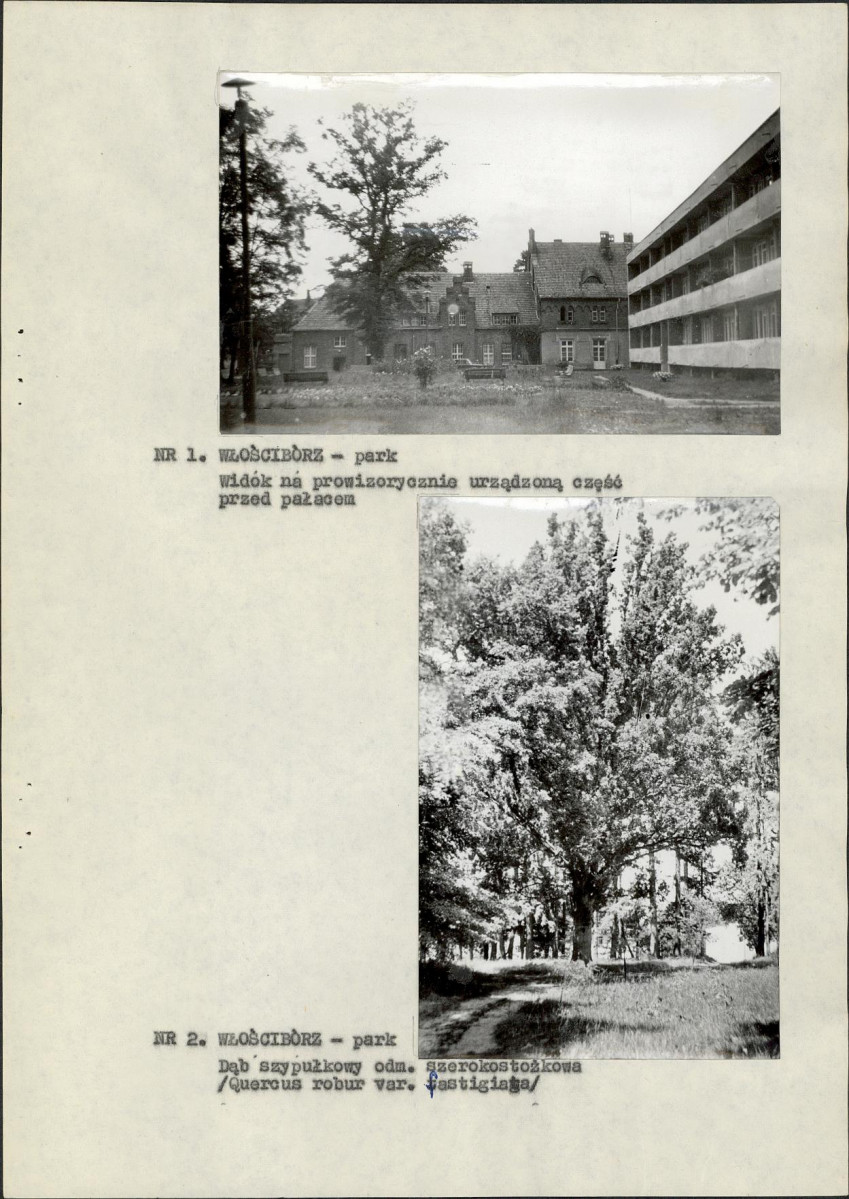 EP - Ewidencja parkowa, skan nr 13