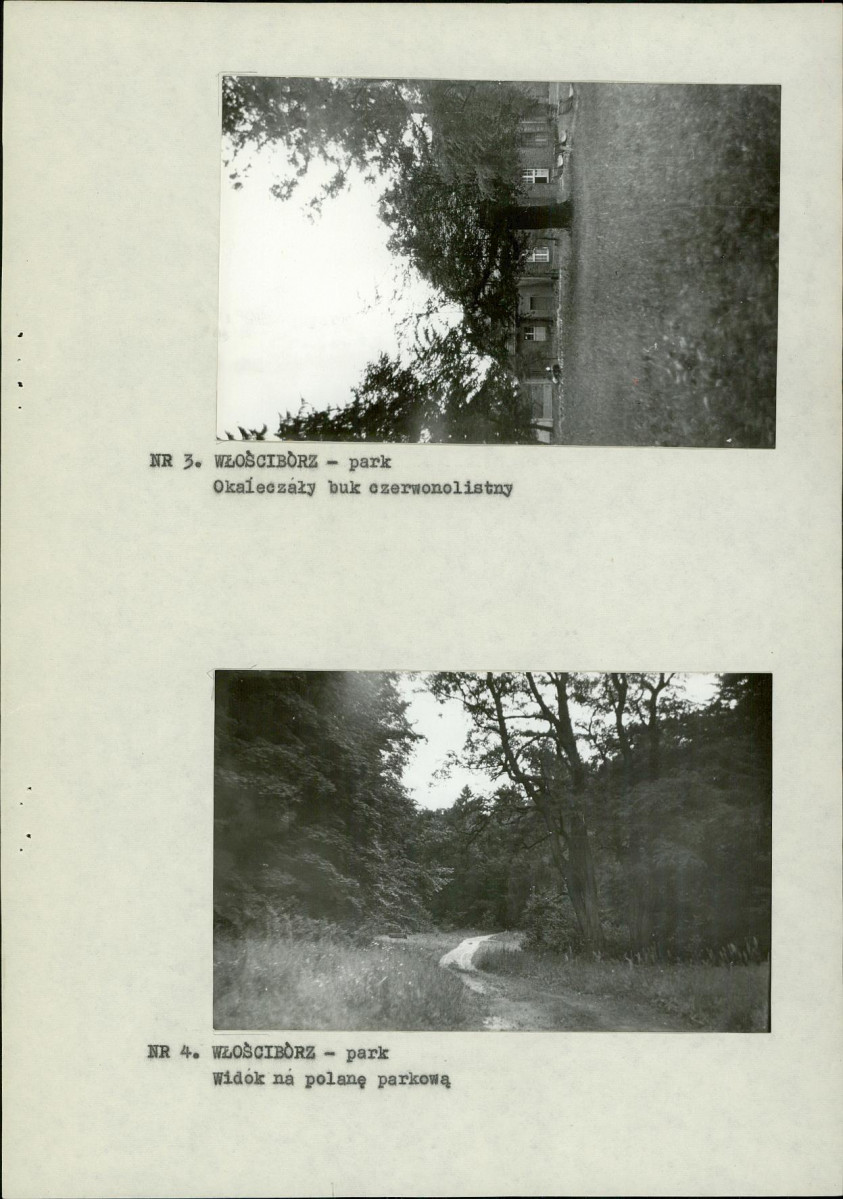 EP - Ewidencja parkowa, skan nr 14