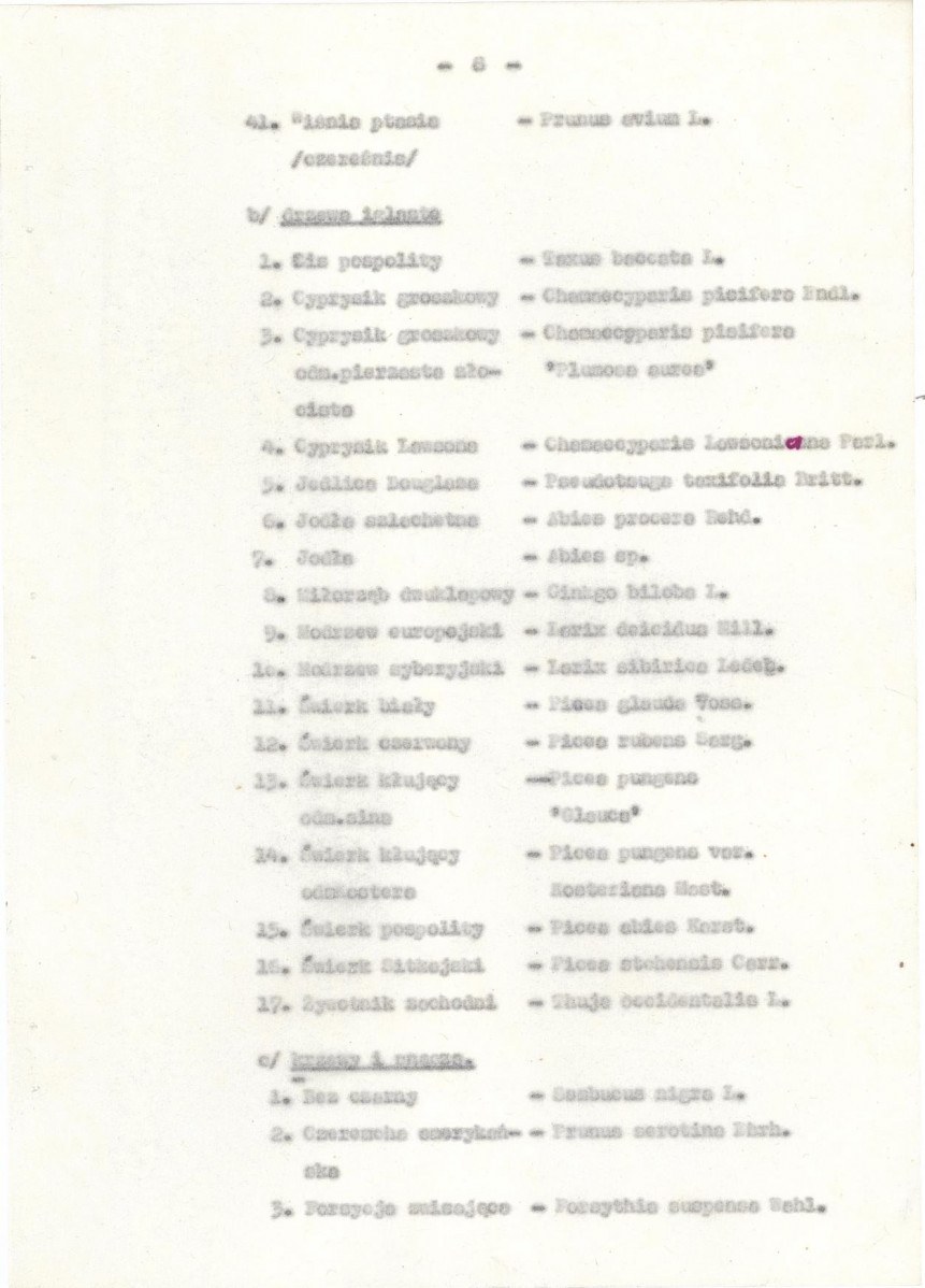 Ewidencja parkowa, skan nr 13