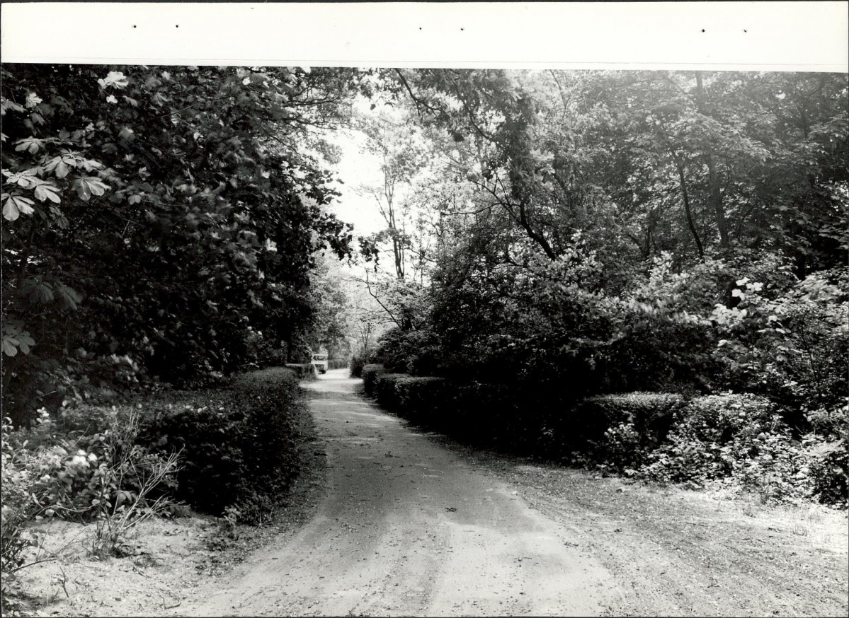 Ewidencja parkowa, skan nr 27
