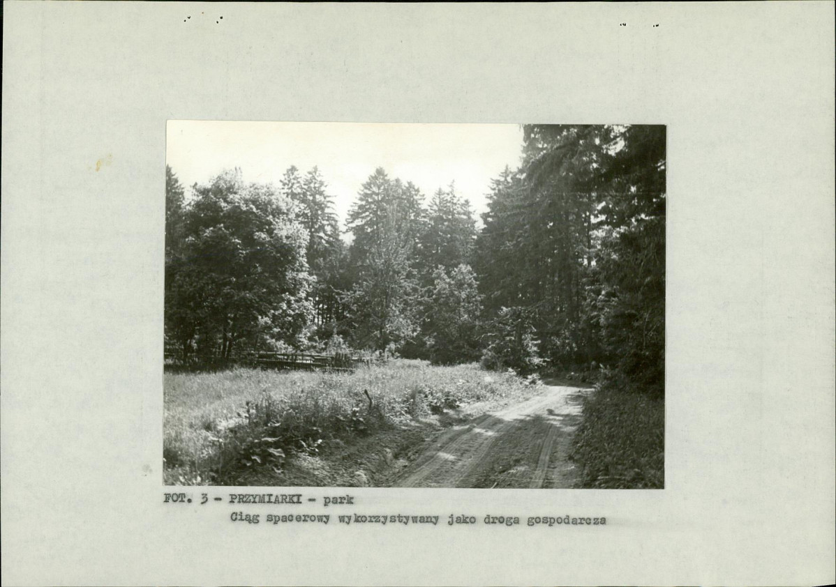 EP - Ewidencja parkowa, skan nr 13