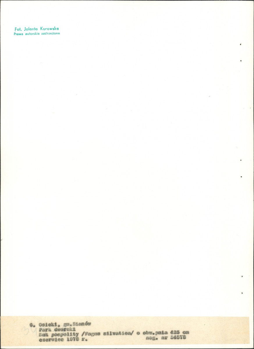 Ewidencja parkowa, skan nr 36