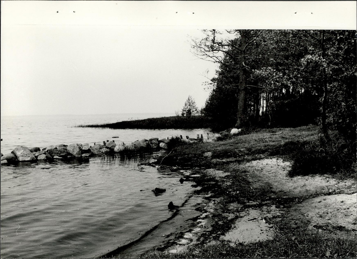 Ewidencja parkowa, skan nr 39