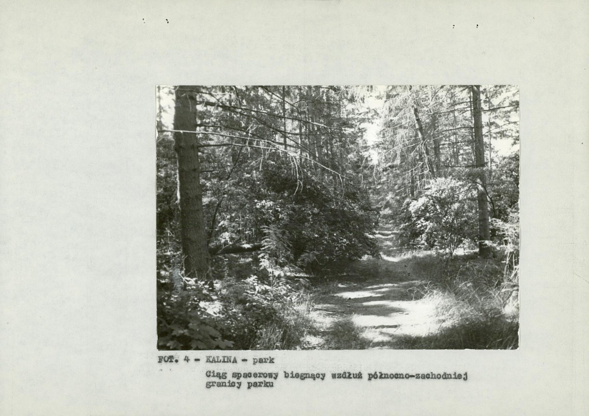 EP - Ewidencja parkowa, skan nr 15