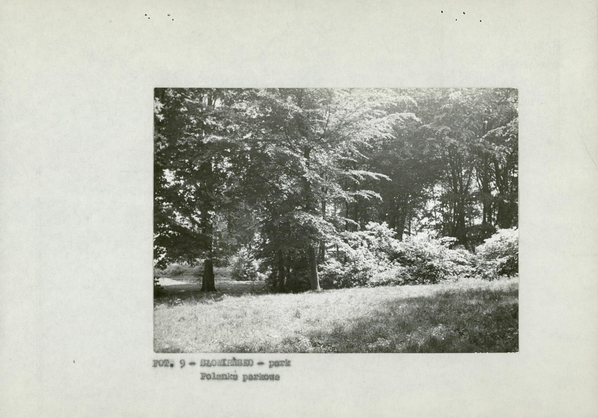 EP - Ewidencja parkowa, skan nr 20
