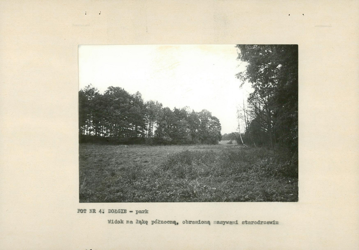 EP - Ewidencja parkowa, skan nr 15