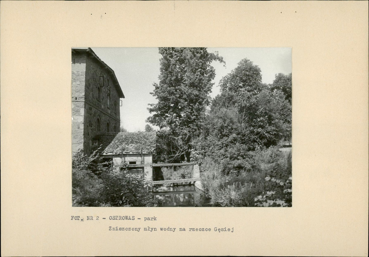 EP - Ewidencja parkowa, skan nr 19