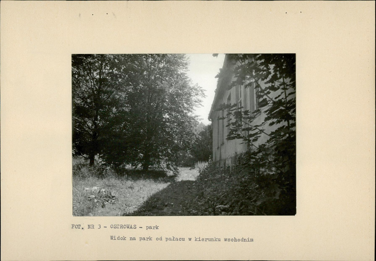 EP - Ewidencja parkowa, skan nr 20