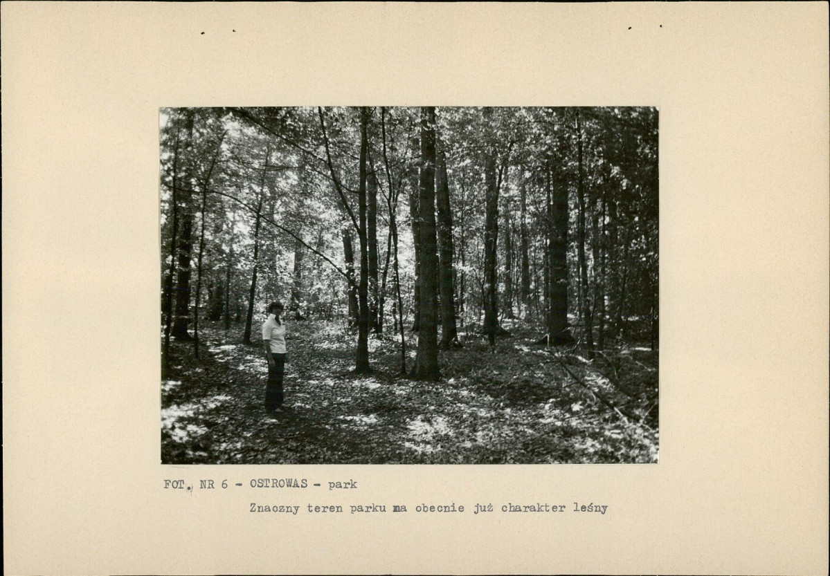 EP - Ewidencja parkowa, skan nr 23
