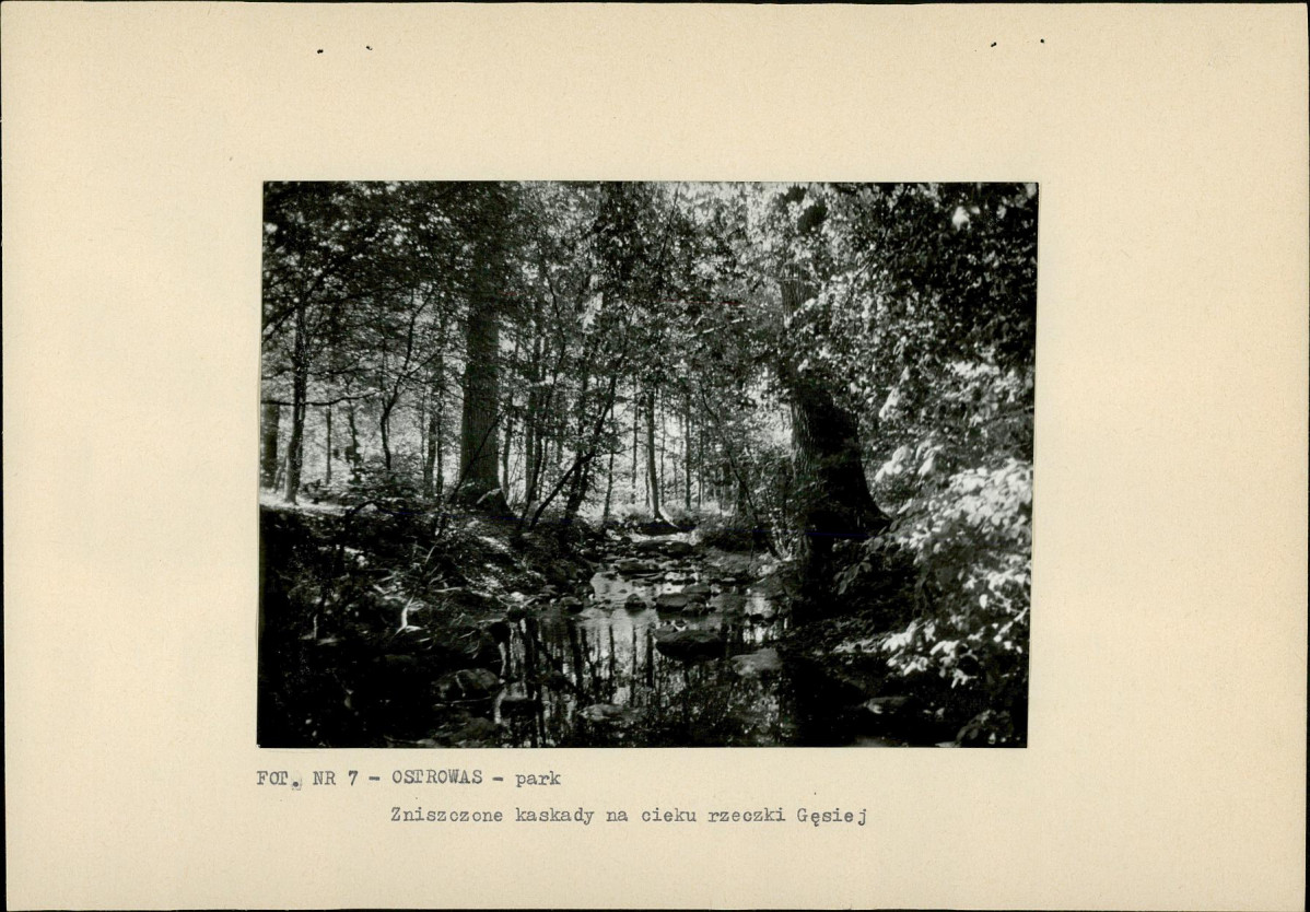 EP - Ewidencja parkowa, skan nr 24