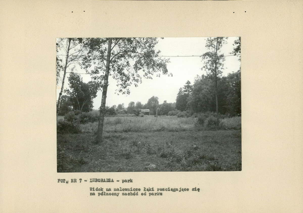 EP - Ewidencja parkowa, skan nr 19
