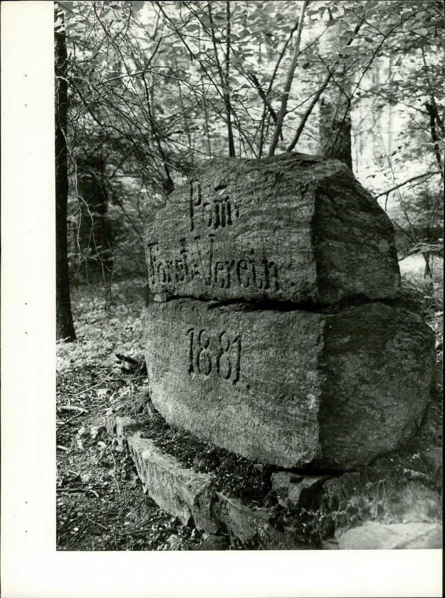 Ewidencja parkowa, skan nr 18