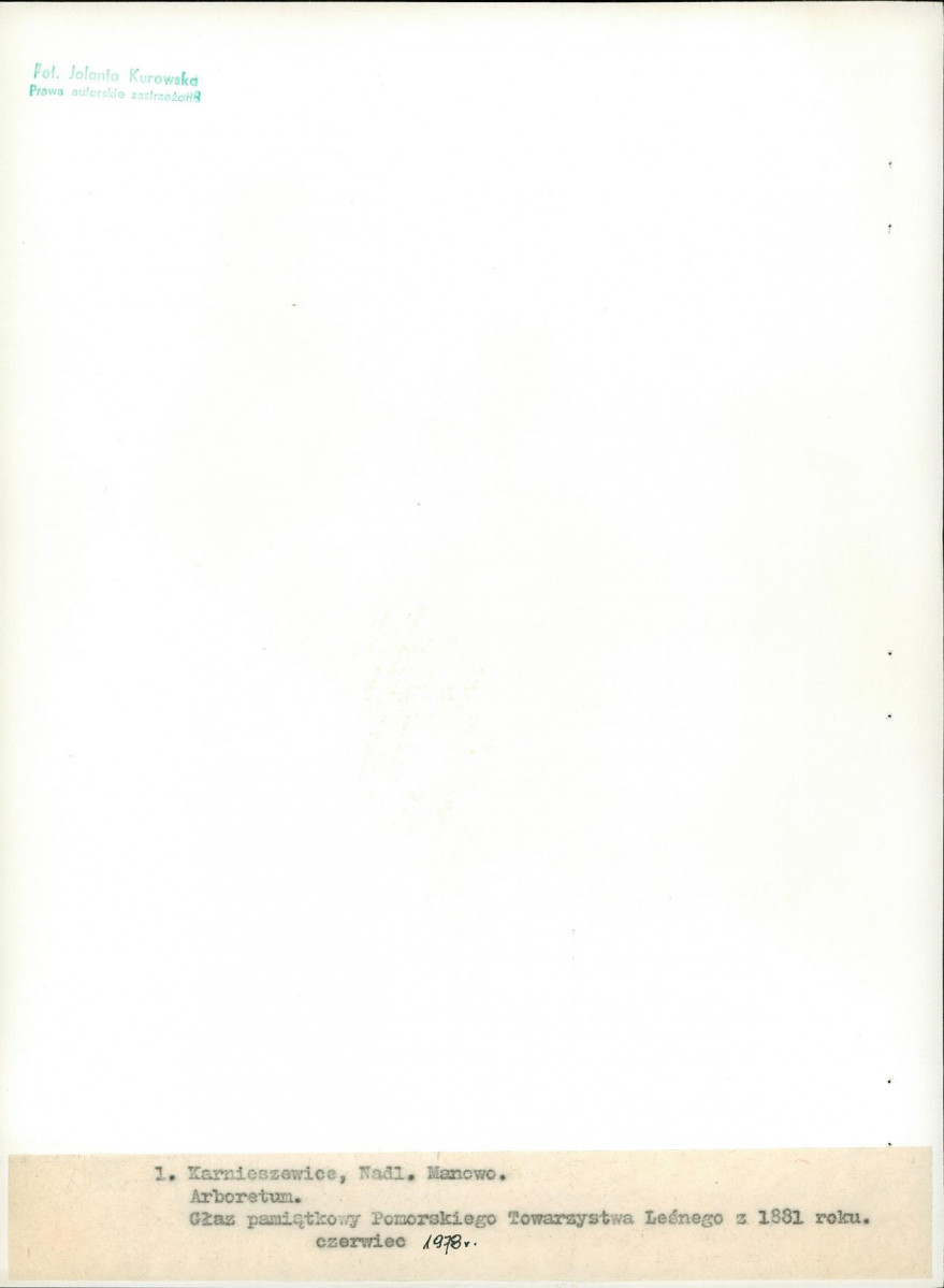 Ewidencja parkowa, skan nr 19