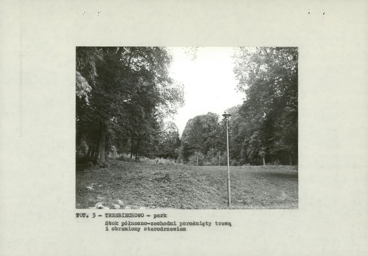 EP - Ewidencja parkowa, skan nr 18
