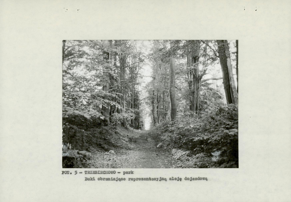 EP - Ewidencja parkowa, skan nr 20