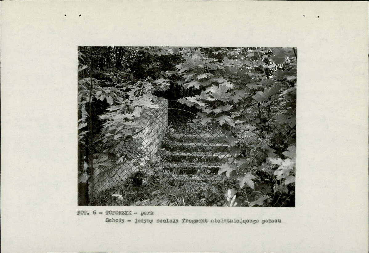 EP - Ewidencja parkowa, skan nr 17