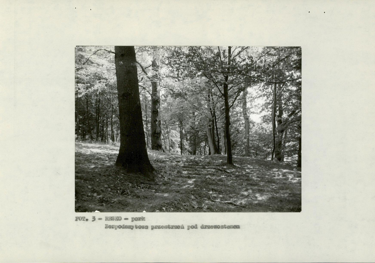 EP - Ewidencja parkowa, skan nr 16