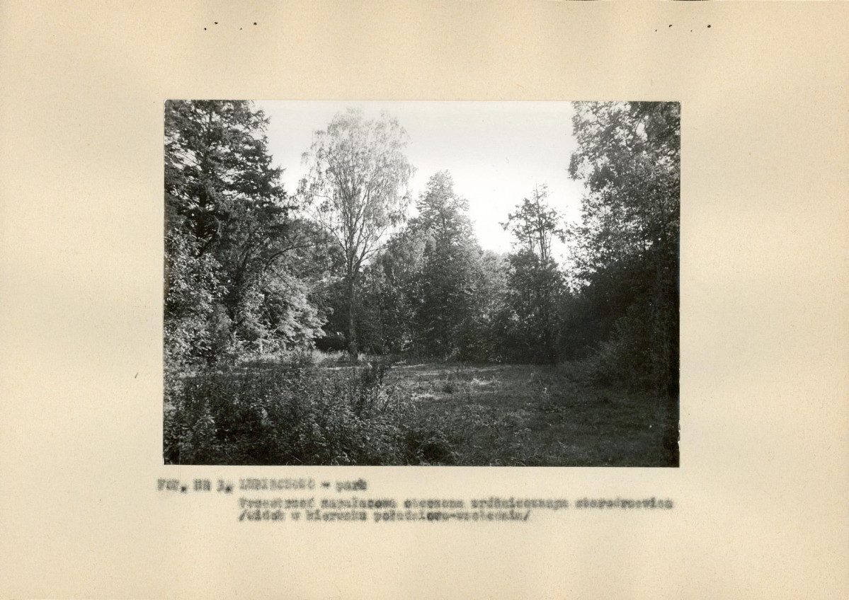 Ewidencja parkowa, skan nr 16