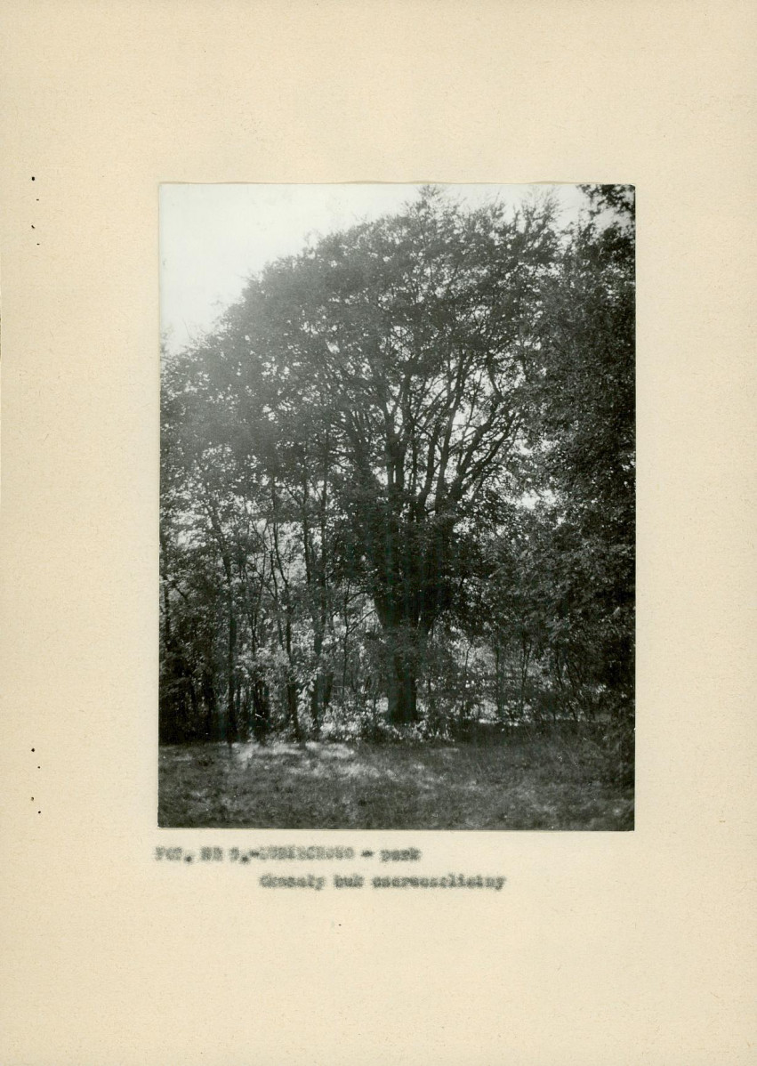 Ewidencja parkowa, skan nr 18
