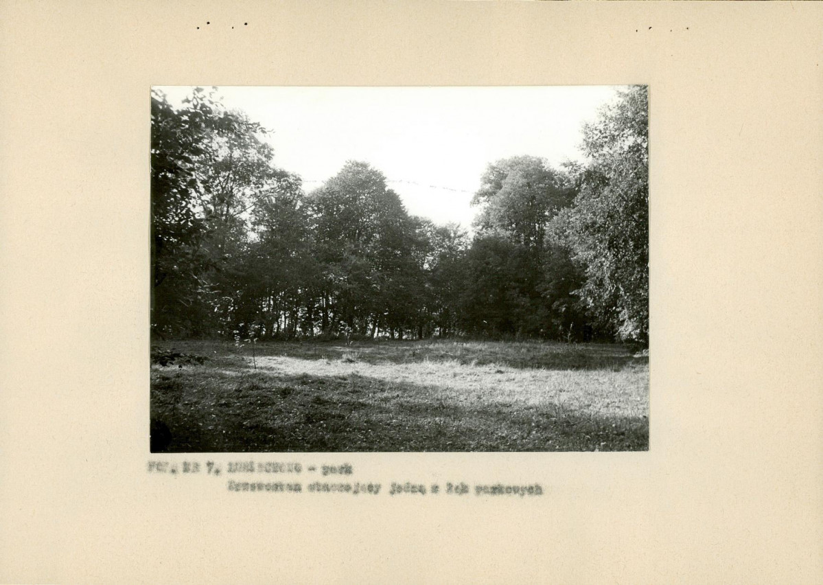 Ewidencja parkowa, skan nr 20