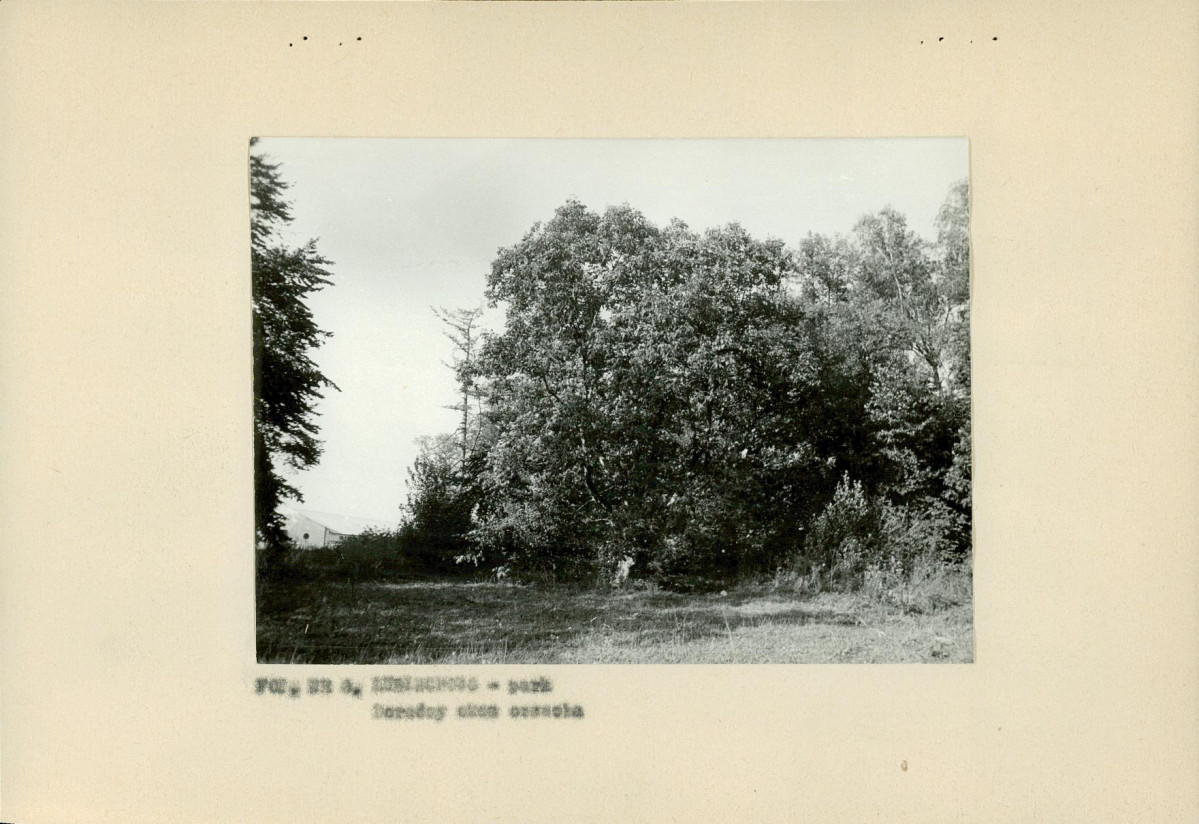 Ewidencja parkowa, skan nr 21