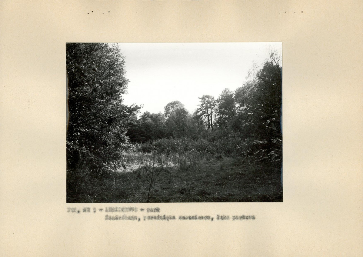 Ewidencja parkowa, skan nr 22