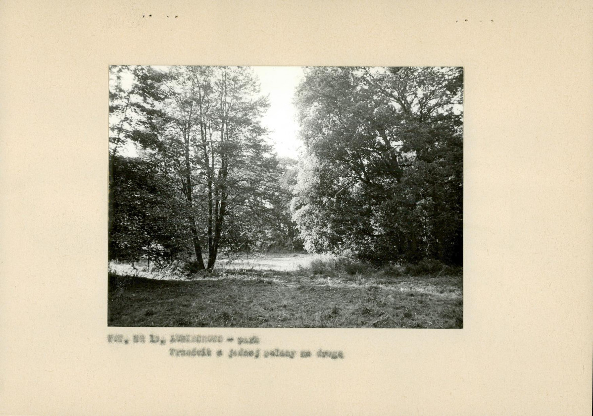 Ewidencja parkowa, skan nr 28