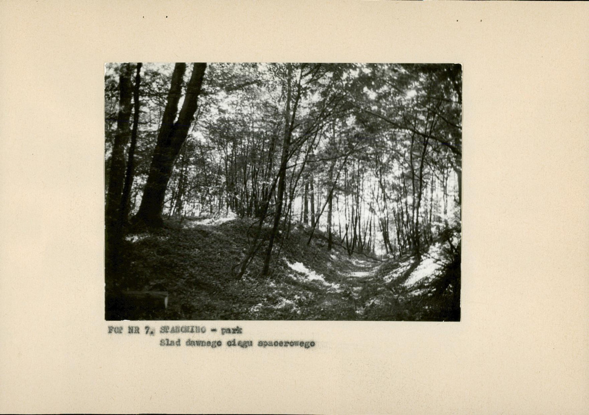 Ewidencja parkowa, skan nr 22