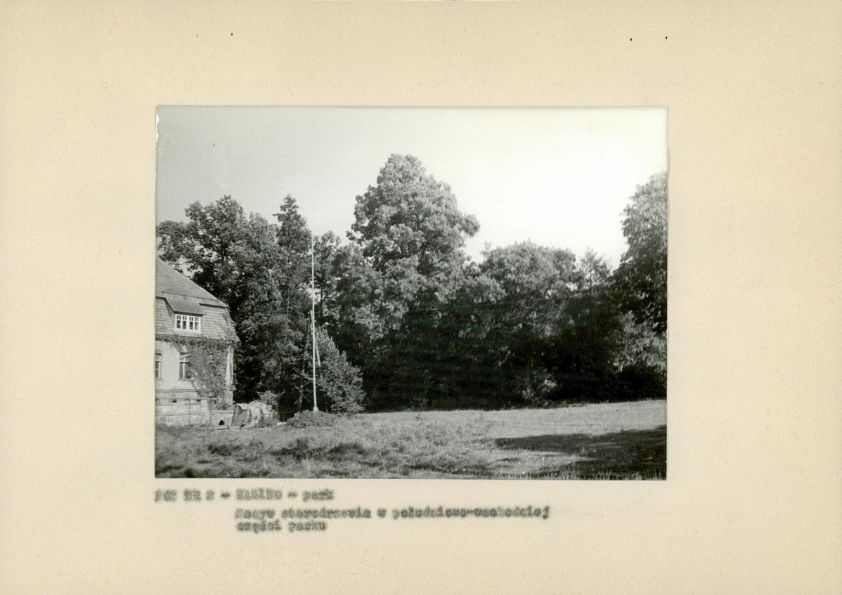 Ewidencja parkowa, skan nr 14