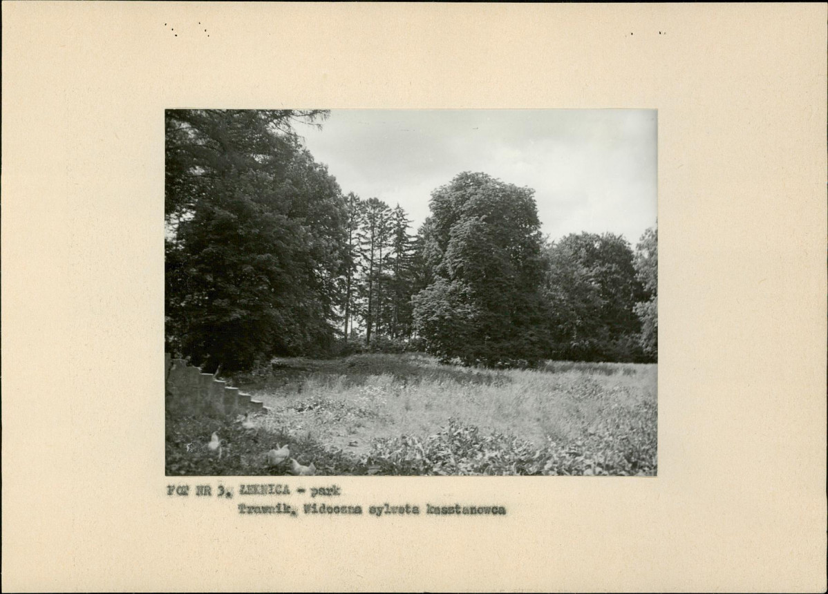 EP - Ewidencja parkowa, skan nr 16