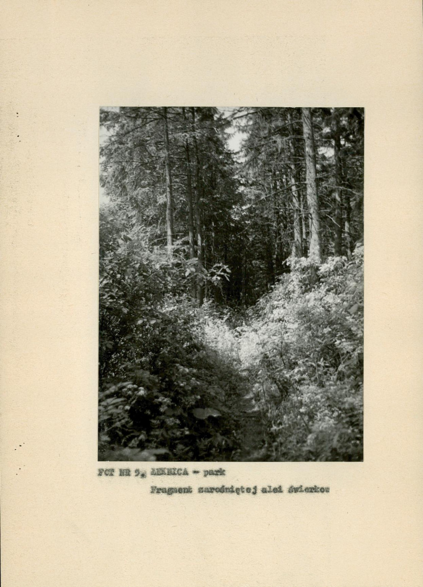 EP - Ewidencja parkowa, skan nr 18