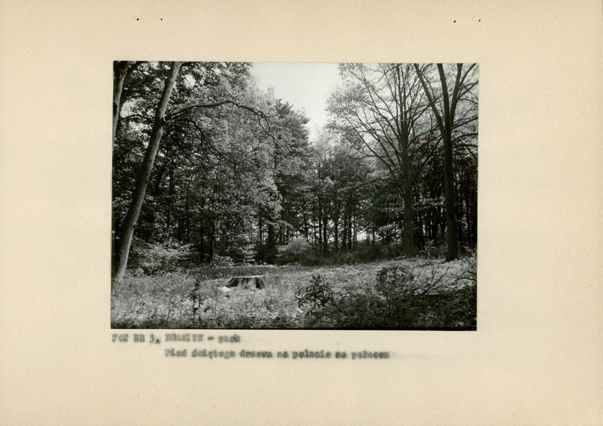 Ewidencja parkowa, skan nr 15