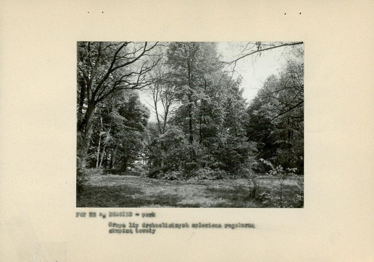 Ewidencja parkowa, skan nr 16