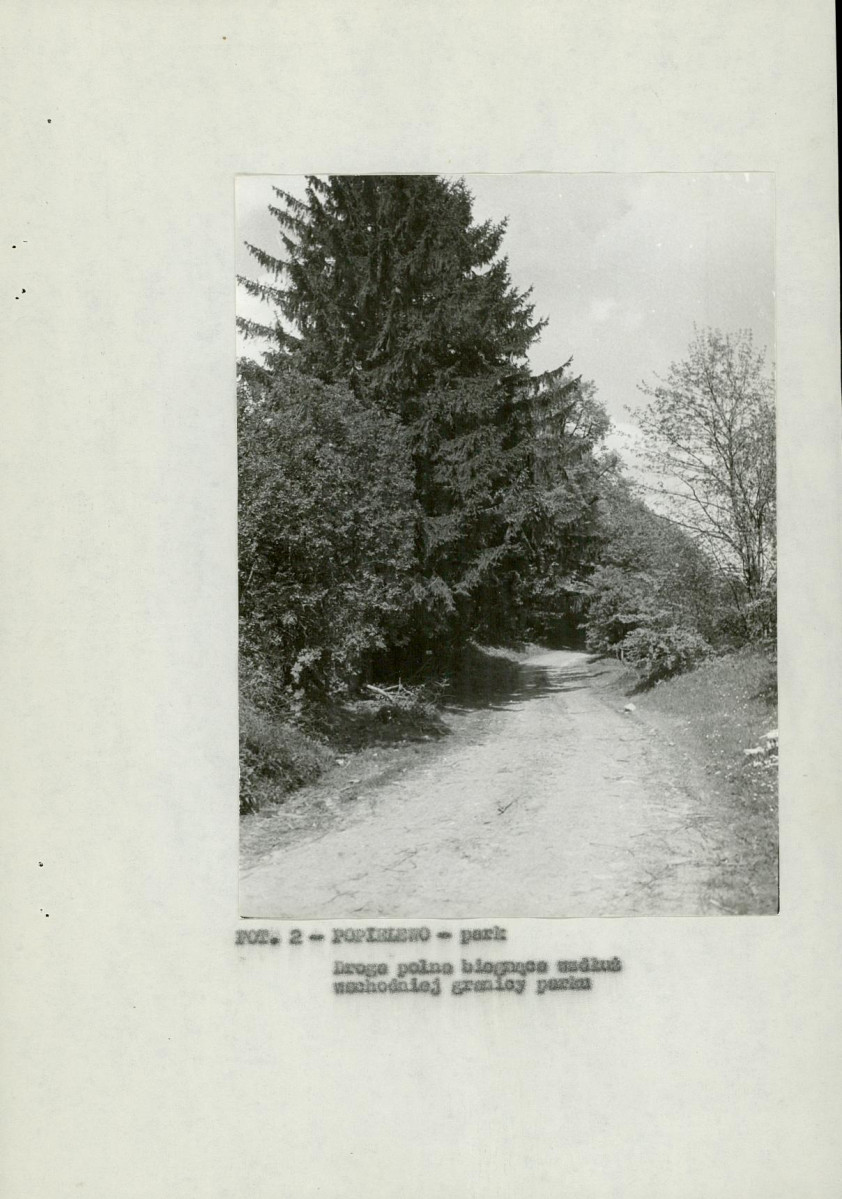 EP - Ewidencja parkowa, skan nr 14