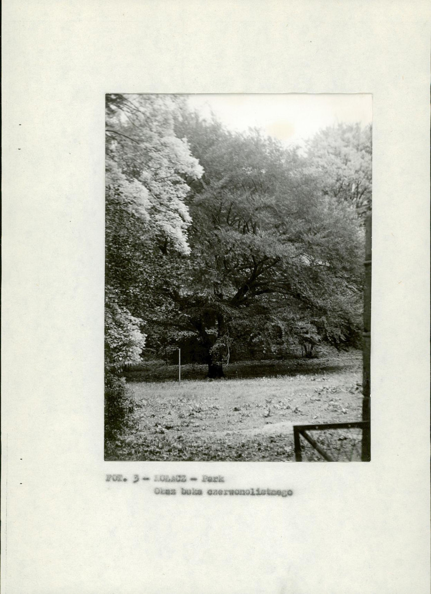 EP - Ewidencja parkowa, skan nr 11