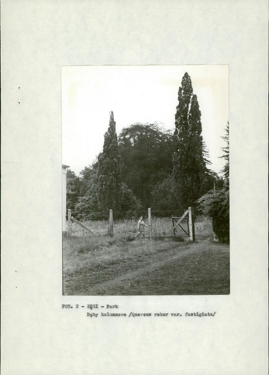 EP - Ewidencja parkowa, skan nr 10