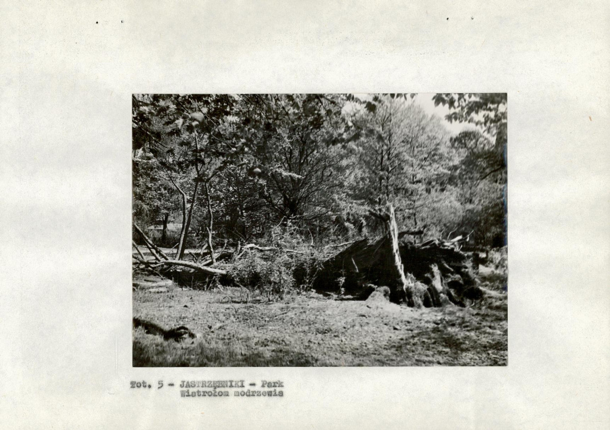 EP - Ewidencja parkowa, skan nr 13