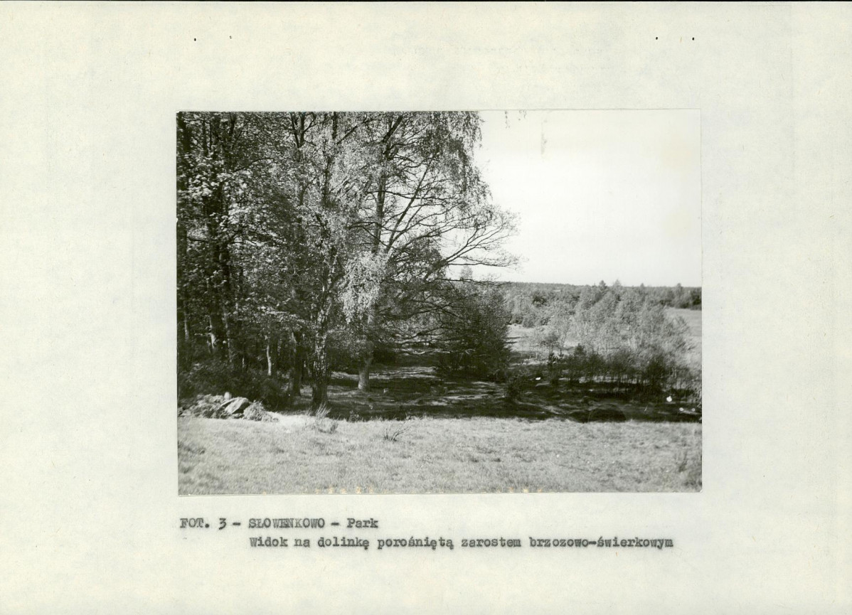 EP - Ewidencja parkowa, skan nr 12