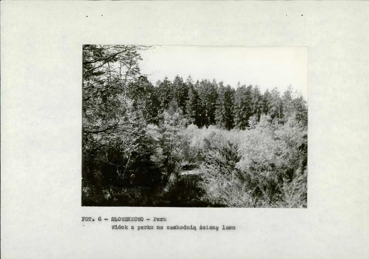EP - Ewidencja parkowa, skan nr 15