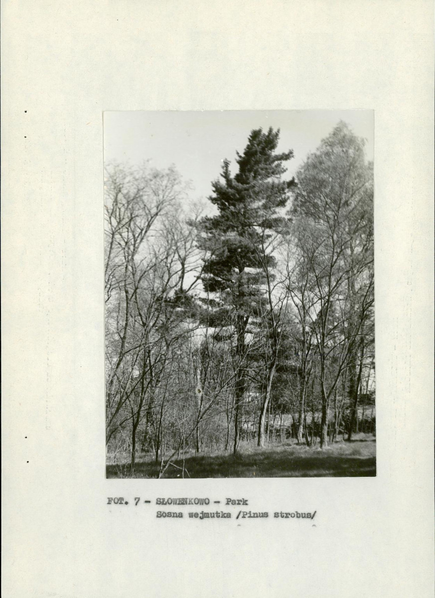 EP - Ewidencja parkowa, skan nr 16