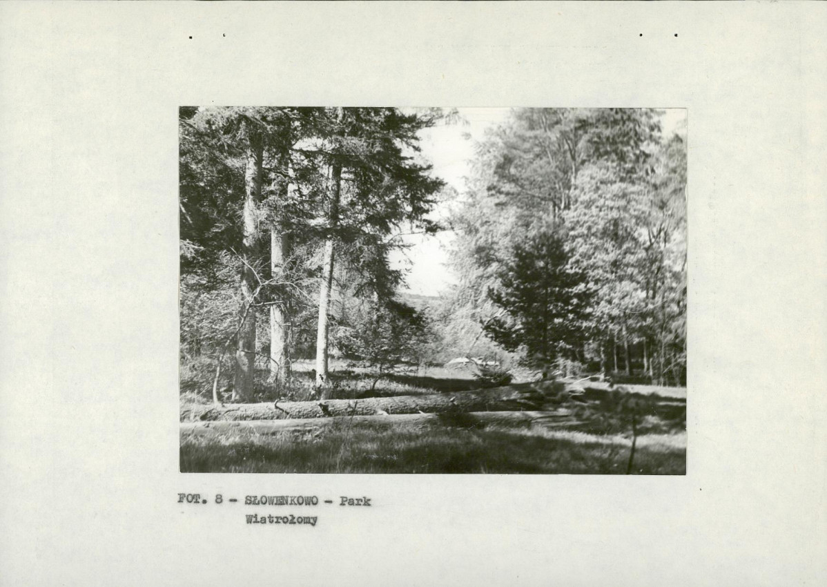 EP - Ewidencja parkowa, skan nr 17
