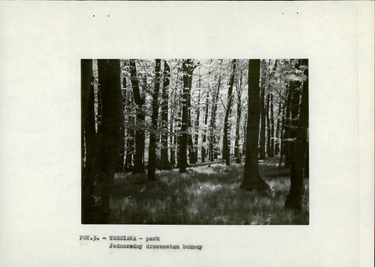 EP - Ewidencja parkowa, skan nr 11