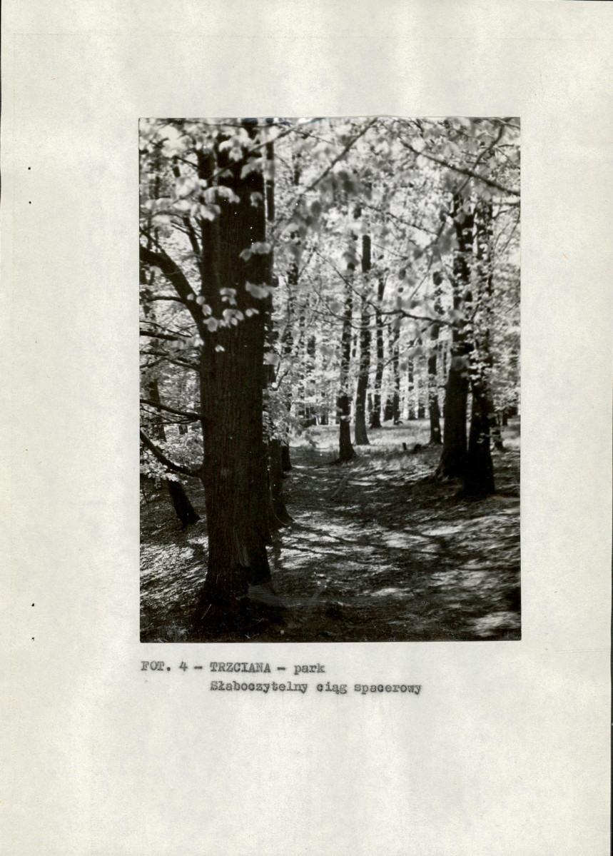 EP - Ewidencja parkowa, skan nr 12