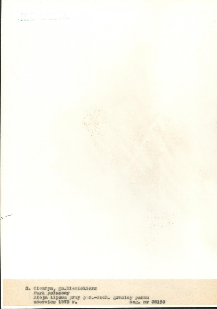 EP - Ewidencja parkowa, skan nr 28