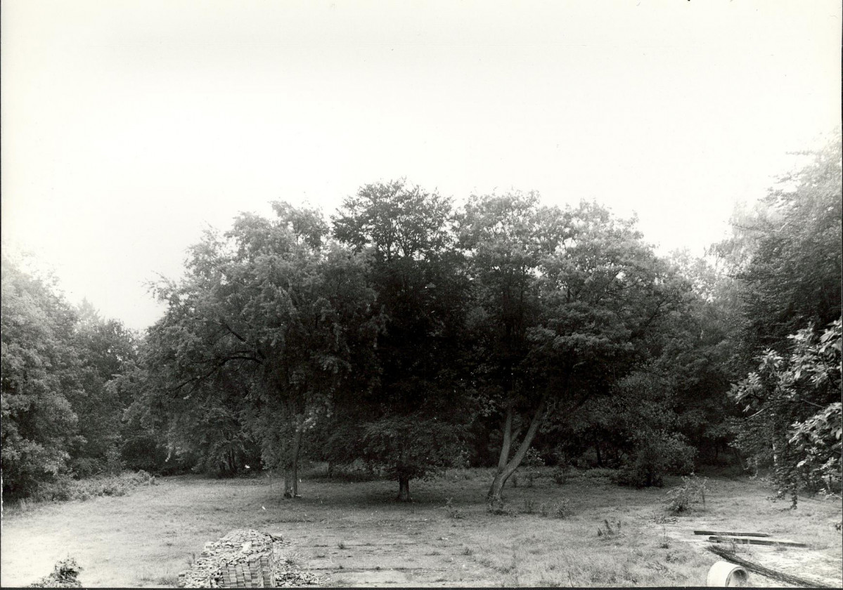 Ewidencja parkowa, skan nr 27